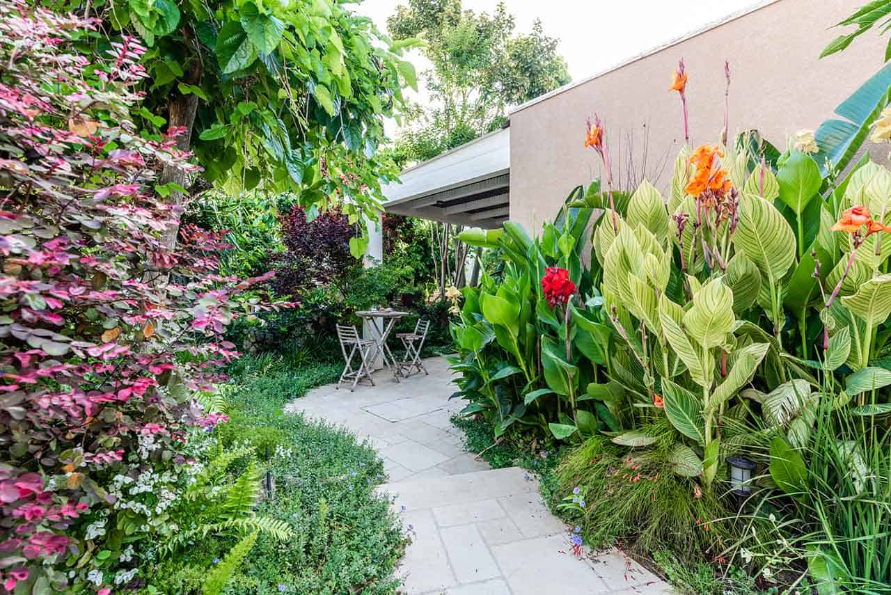 שימוש בקירות החיצוניים של הבית כדי ליצור מראה צמחיה שופע בגינה האורבנית 