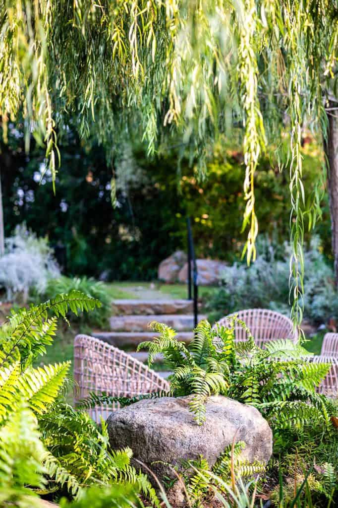 עיצוב מסלעה בגינה