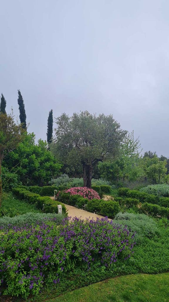 פרויקט אדריכלות נוף והקמת גינה במלון הבוטיק "וילה דקסה"