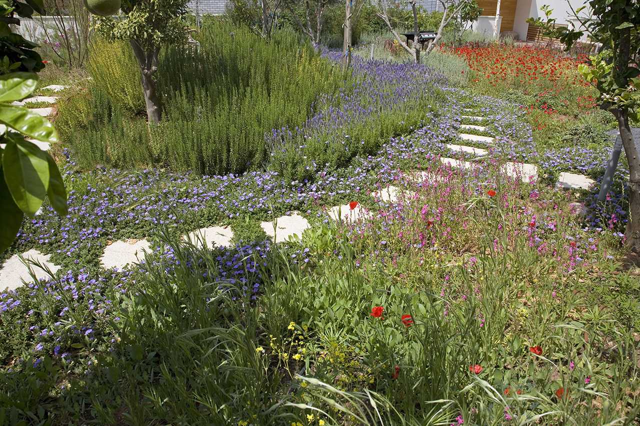 עיצוב גינה ססגונית מלאה בצמחייה צבעונית ופרחים מסוגים שונים עם סיוע של אדריכל נוף