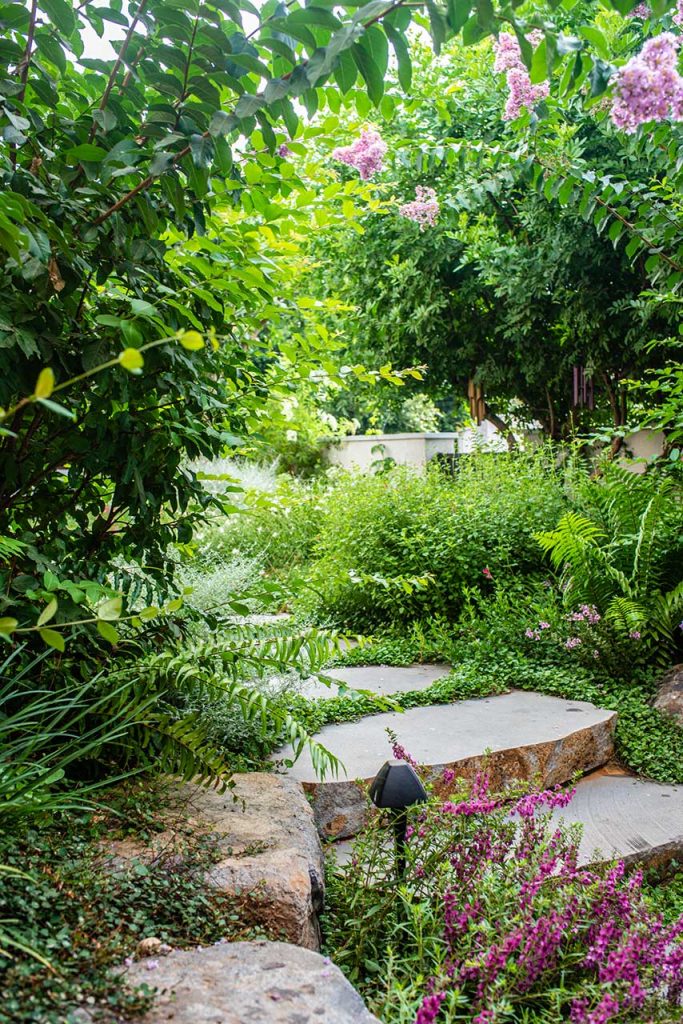 שביל מדרגות בכניסה לגינה המעוצבת ע"י מעצב גינות עם צמחייה ופרחים